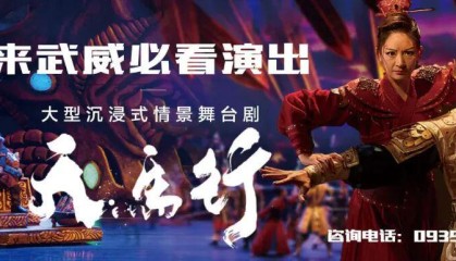 武威第十中学男子足球队挺进全国总决赛！！！！！！