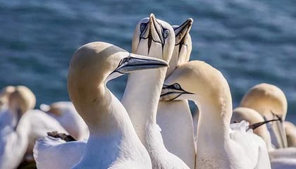 开云体育平台：让热爱在云端放大，共赴每一个精彩瞬间