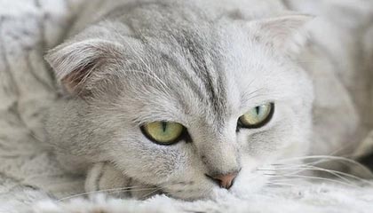 PG官方平台——开启您的极致娱乐体验